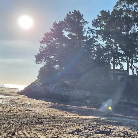 Apartament Les Texuques Ii