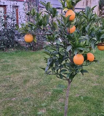 Apartamento Les Texuques Ii Nueva De Llanes